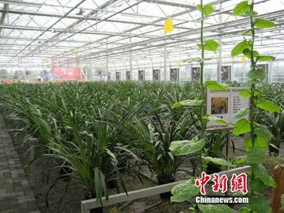 中國(guó)西南最大農(nóng)產(chǎn)品交易所在北川投入運(yùn)營(yíng)_財(cái)經(jīng)_騰訊網(wǎng)