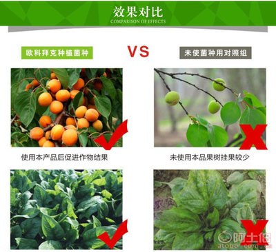 【種植EM菌種價(jià)格種植EM菌批發(fā)種植EM菌廠家