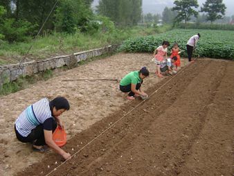 大蒜種植益富源種植專用營(yíng)養(yǎng)液發(fā)酵菌液什么價(jià)格_農(nóng)副產(chǎn)品欄目_