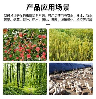 智能殺蟲燈的應用領域