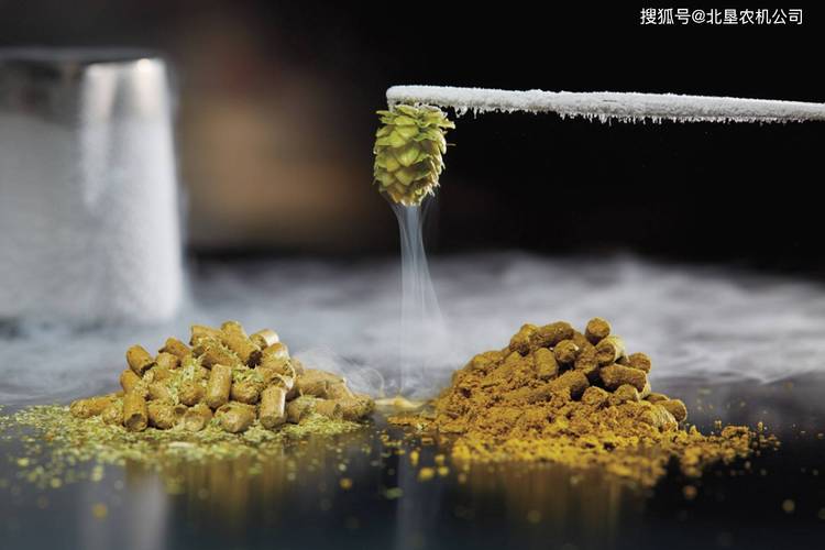 "優質啤酒花造就優質啤酒":美國農業如何與精釀啤酒廠共同發展_種植
