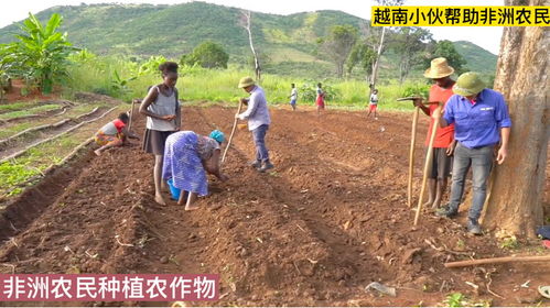 越南小伙幫助非洲農民種植農作物