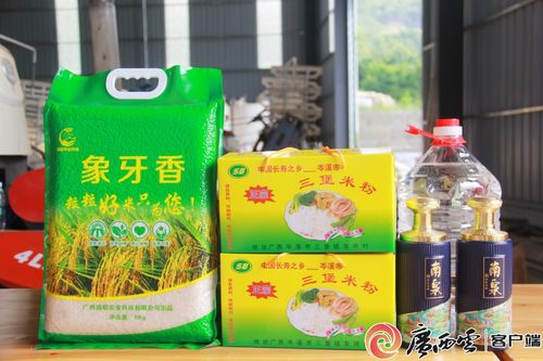 農機助力 新農人 圓夢 梁勇安 農業機械化繪就鄉村振興新 稻 路