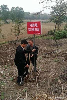 保護生態環境 河灘禁止耕種