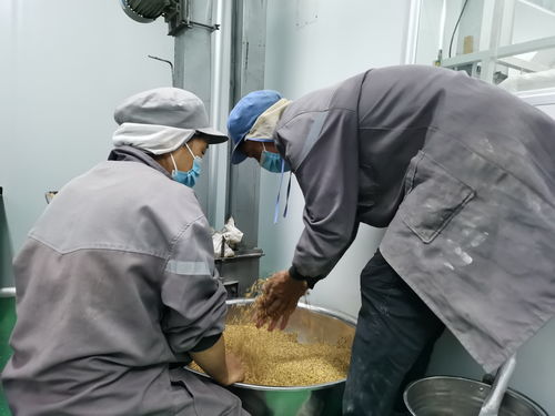 阿青瑪 聯農帶農助增收 要聞 迪慶頻道 云南網