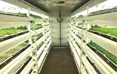 “植物工廠”簽約落戶撈刀河畔田園綜合體,北盛招商引資實現新年"開門紅"