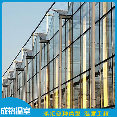 壽光溫室承建 玻璃溫室造價 蔬菜溫室大棚 整體設計安裝