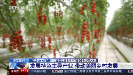 央視《朝聞天下》點贊嘉興“千萬工程”20年來巨大變化