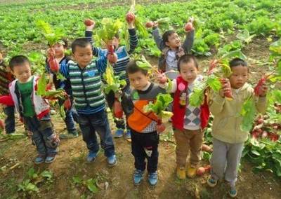 國家啟動家庭農場:這2個角度6種類型,農場:種植、社區、親子為一體,年入園人次10萬+!你如何做好農場運營?