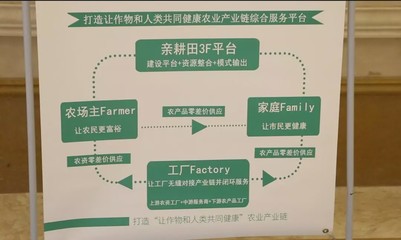 親耕田 小康年|親耕田模式,引全國種植大戶齊聚江蘇宿遷為哪般