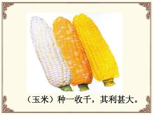 高考熱點 明清時期的經濟