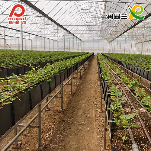 新品上線 可以 卷 的種植槽,輕便簡易,一舉多得