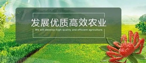 生物農藥 氨基寡糖素的市場前景廣闊