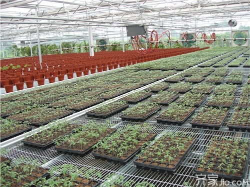 園藝設施的類型 園藝設施的作用