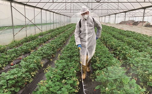 邁向種植需求方案提供者
