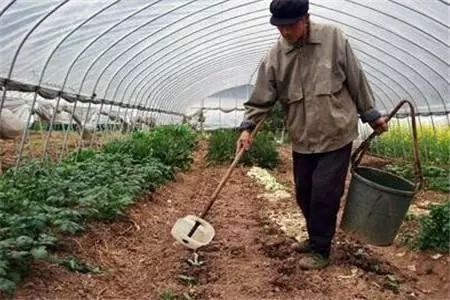 春耕用肥高峰有 禁忌 ,這13個用肥錯誤不要犯