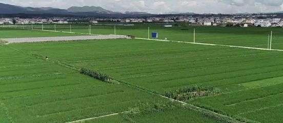 這65萬畝的耕地,在涿州現狀究竟如何?