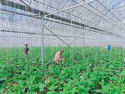 建德:生態產業助力鄉村共富