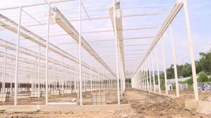 緩解城市“菜籃子”難題!水木莫干山都市農業綜合體項目建設順利推進丨奮戰·全年紅