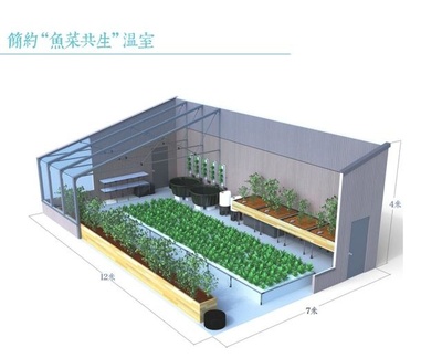 設(shè)計(jì)建造一個(gè)小型的“魚菜共生”溫室農(nóng)場