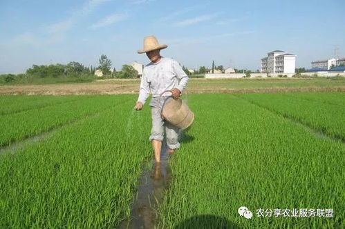 總怕肥不夠 其實 肥害 更要命 最全的肥害知識都在這里
