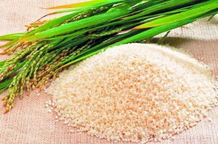 黑龍江綠色有機(jī)農(nóng)產(chǎn)品種植超8000萬(wàn)畝